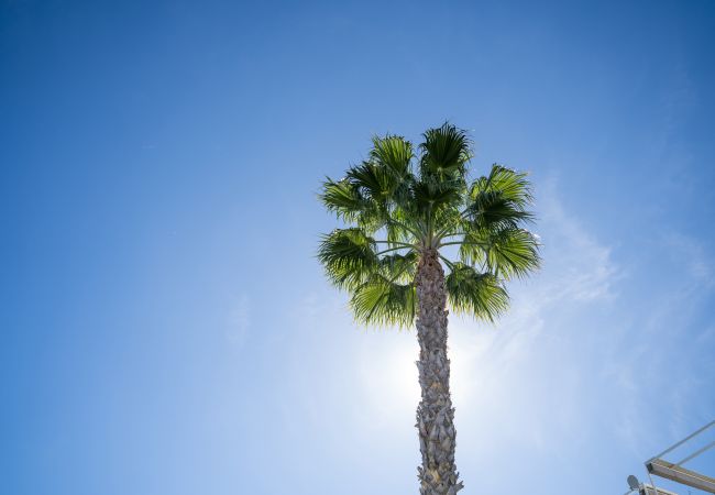 Apartamento en Torrevieja - Ceñuela - Lush Haven by United Renters Apartamento en Torrevieja - Ceñuela - Lush Haven by United Renters