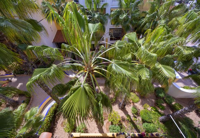 Apartamento en Torrevieja - Casa Malea by United Renters Apartamento en Torrevieja - Casa Malea by United Renters