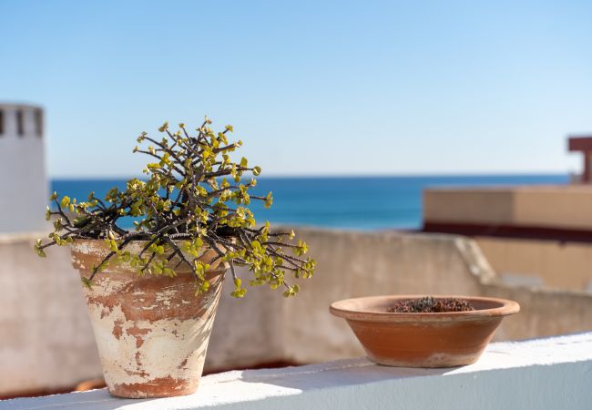 Apartamento en Torrevieja - Beach Apartment Green Terrace La Mata Apartamento en Torrevieja - Beach Apartment Green Terrace La Mata