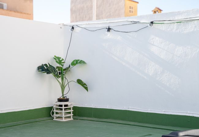 Apartamento en Torrevieja - Beach Apartment Green Terrace La Mata Apartamento en Torrevieja - Beach Apartment Green Terrace La Mata
