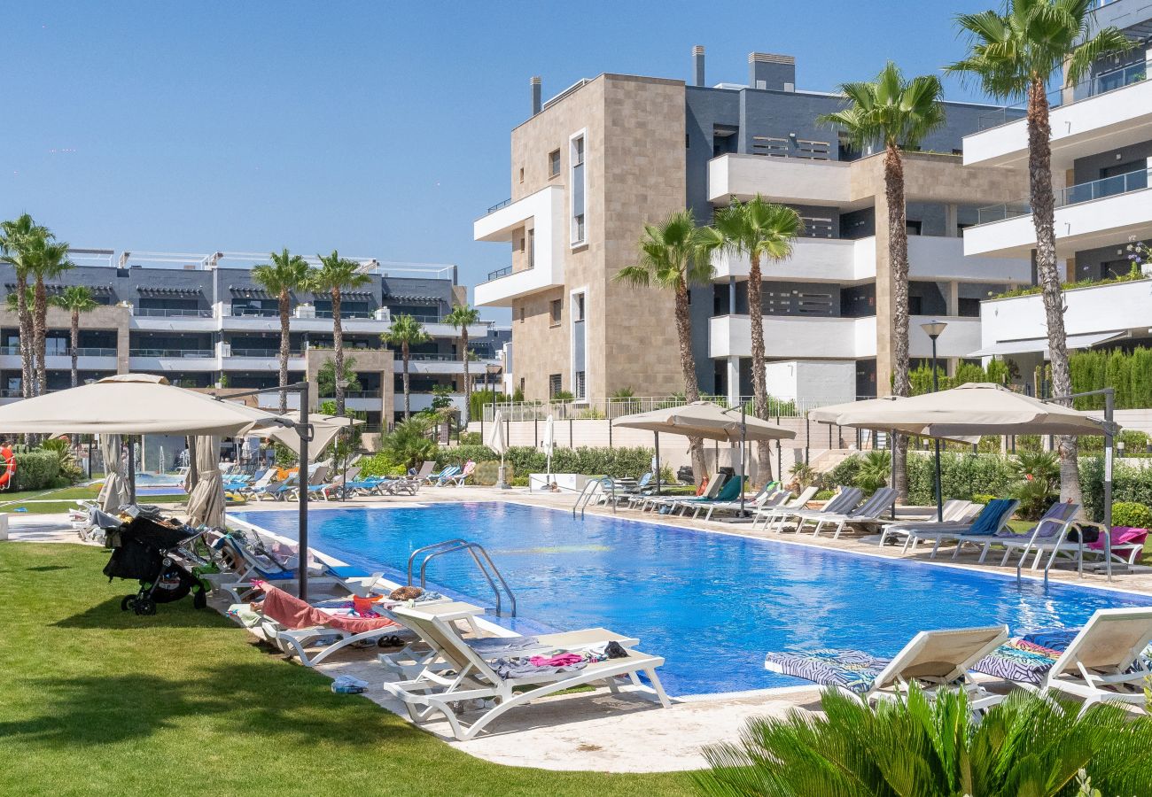 Apartamento en Torrevieja - Flamenca Village Horizon Apartment (temporal) Apartamento en Torrevieja - Flamenca Village Horizon Apartment (temporal)