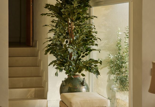 Villa en Sant Vicent del Raspeig - Mediterranean Seasons Villa 2 Villa en Sant Vicent del Raspeig - Mediterranean Seasons Villa 2