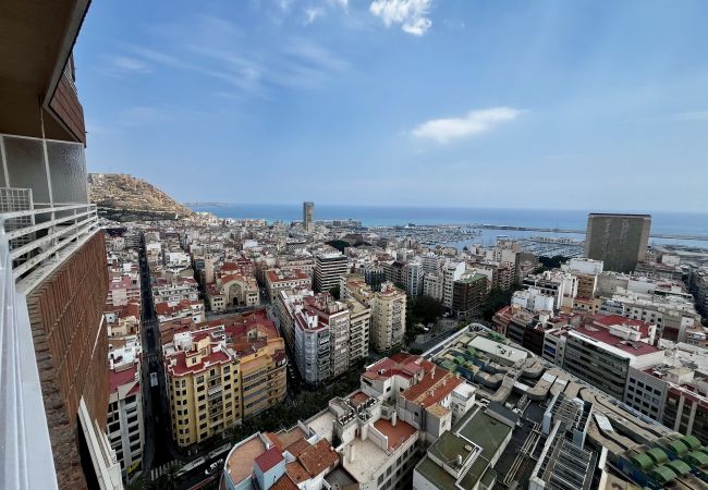 Estudio en Alicante - Riscal 23