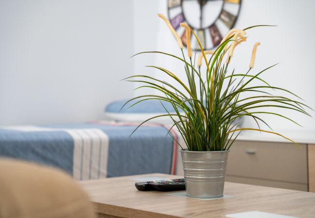 Terraced House in Torrevieja - Gandhi White Villa by United Renters Terraced House in Torrevieja - Gandhi White Villa by United Renters