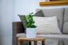 Bungalow in Torrevieja - Molino's cozy beach apartment by United Rente Bungalow in Torrevieja - Molino's cozy beach apartment by United Rente
