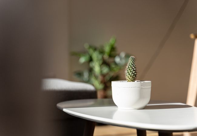 Apartment in Torrevieja - Beach Apartment Green Terrace La Mata Apartment in Torrevieja - Beach Apartment Green Terrace La Mata