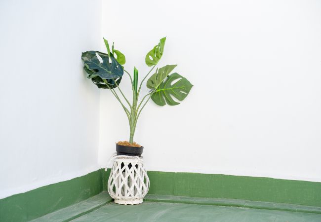 Apartment in Torrevieja - Beach Apartment Green Terrace La Mata Apartment in Torrevieja - Beach Apartment Green Terrace La Mata