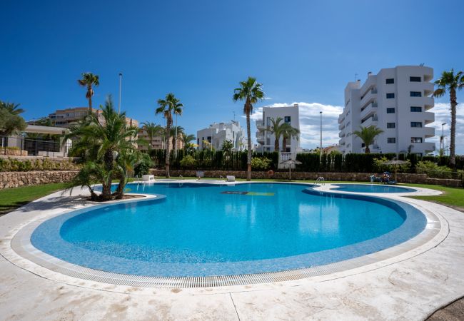 Apartment in Arenales del Sol - Arenales Bahia Penthouse by United Renters Apartment in Arenales del Sol - Arenales Bahia Penthouse by United Renters