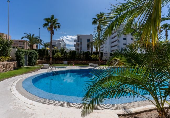 Apartment in Arenales del Sol - Arenales Bahia Penthouse by United Renters Apartment in Arenales del Sol - Arenales Bahia Penthouse by United Renters