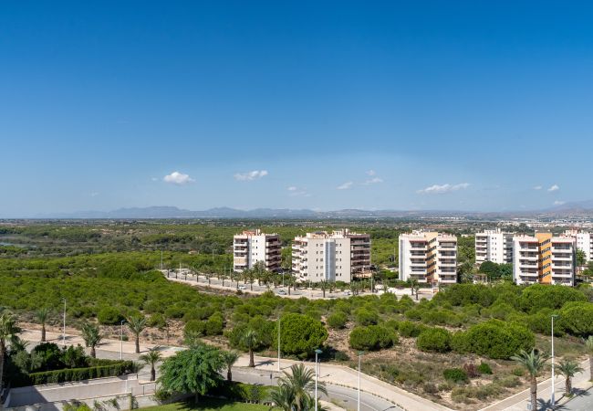 Apartment in Arenales del Sol - Arenales Bahia Penthouse by United Renters Apartment in Arenales del Sol - Arenales Bahia Penthouse by United Renters