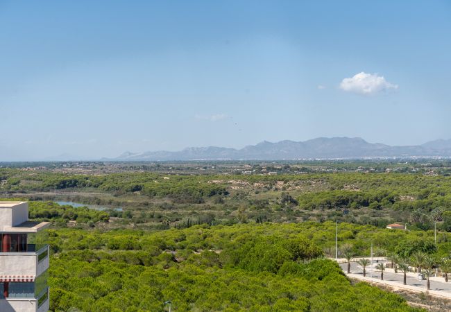 Apartment in Arenales del Sol - Arenales Bahia Penthouse by United Renters Apartment in Arenales del Sol - Arenales Bahia Penthouse by United Renters