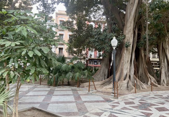 Studio in Alicante / Alacant - Chapuli by United Renters Studio in Alicante / Alacant - Chapuli by United Renters