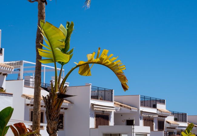 Bungalow in Torrevieja - Pura Vida Beach Apartment by United Renters Bungalow in Torrevieja - Pura Vida Beach Apartment by United Renters
