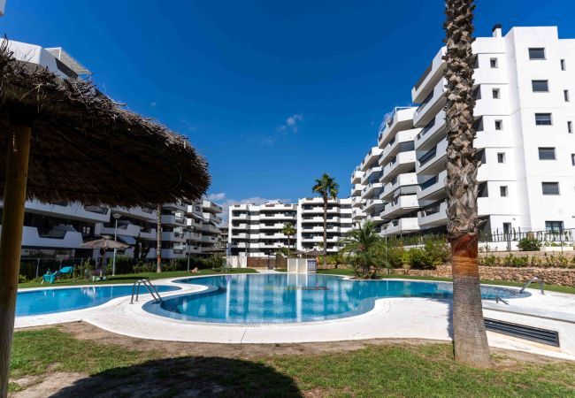 Apartment in Los Arenales del Sol - Arenales Skyline Penthouse By United Renters Apartment in Los Arenales del Sol - Arenales Skyline Penthouse By United Renters